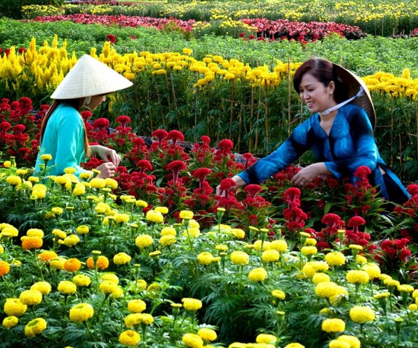 Cho Lach Ben Tre 2