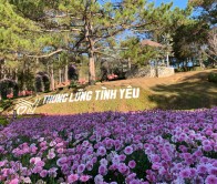 Tour Nha Trang – Đà Lạt 4 ngày 3 đêm