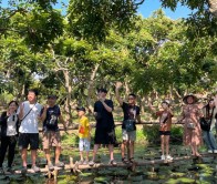 Tour Cồn Sơn – Trải Nghiệm Đám Tiệc Bên Cồn 1 ngày