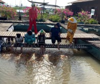 Tour Cồn Sơn – Trải Nghiệm Đám Tiệc Bên Cồn