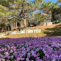 Tournhatrangdalat4