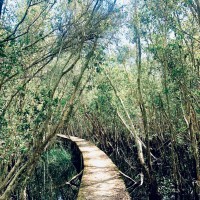 Tourlangnoitanlap1ngay2