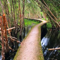 Tourlangnoitanlap2n1d