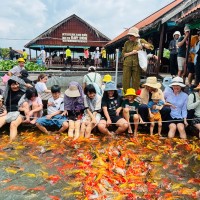 Tour Cồn Sơn