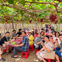 Tour Du Lich Ninh Thuan Vuon Nho