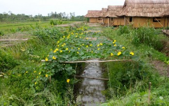 Nguyễn Shack Homestay Cần Thơ