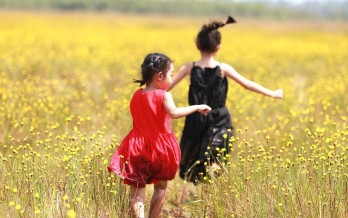 Hướng dẫn du lịch Vườn quốc gia Tràm Chim Đồng Tháp