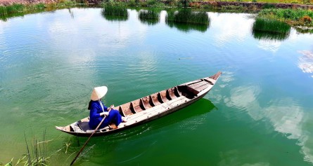 Tour Khám Phá Đồng Tháp Mười: Trở Về Thời Khẩn Hoang 2N1Đ