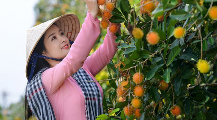 Tour Miền Tây 2 ngày 1 đêm từ TP HCM: Vĩnh Long – KDL Vinh Sang – Cần Thơ