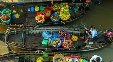 Tour Miền Tây 3 ngày 2 đêm từ TP Hồ Chí Minh: Đồng Tháp – Tràm Chim – Cần Thơ