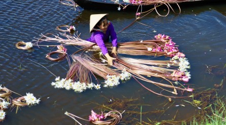 Tour Đồng Tháp mùa nước nổi – Vườn Quốc Gia Tràm Chim 1 ngày từ Cần Thơ