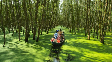Tour An Giang Mùa Nước Nổi 1 ngày: Châu Đốc – Rừng Tràm Trà Sư – Thánh Đường Hồi Giáo