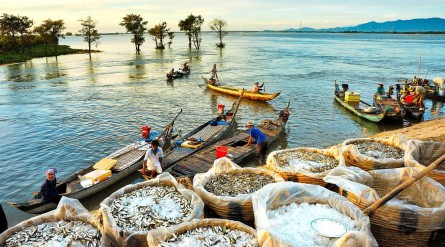 Tour An Giang mùa nước nổi 1 ngày: Búng Bình Thiên – Châu Đốc từ Cần Thơ