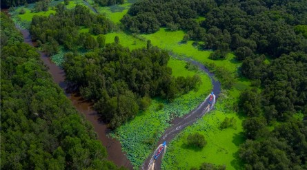 Tour Miền Tây mùa nước nổi từ TP HCM: Rừng Tràm Trà Sư – Châu Đốc – Vàm Nao 2N1Đ