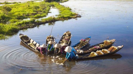 Tour Miền Tây mùa nước nổi 3 ngày 2 đêm: Cần Thơ – An Giang – Rừng Tràm Trà Sư