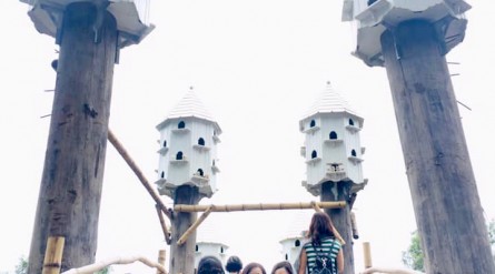 Tour Miền Tây mùa nước nổi 3 ngày 2 đêm: Đồng Tháp – Làng Chăm An Giang – Rừng Tràm Trà Sư