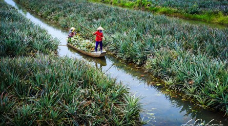 Tour du lịch Hậu Giang 2 ngày 1 đêm từ TP HCM