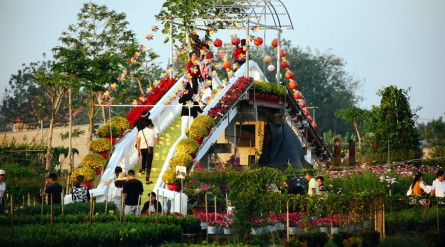 Tour Đồng Tháp An Giang: Làng Hoa Sa Đéc – Nhà Cổ Huỳnh Thủy Lê – Cồn Én – Cù Lao Giêng