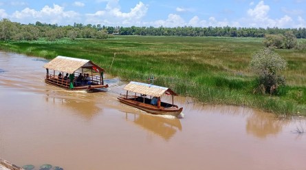 Tour vườn quốc gia Tràm Chim mùa nước nổi