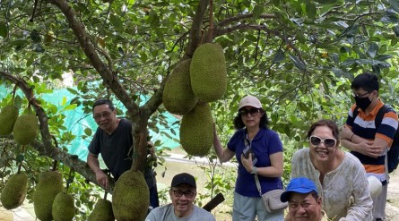 Tour du lịch Miền Tây 3 ngày 2 đêm: Cần Thơ – Châu Đốc – Trà Sư – Hà Tiên
