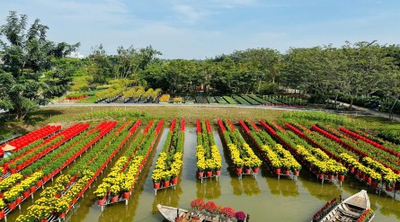 Tour Đồng Tháp 2 ngày 1 đêm: Gò Tháp – Tam Nông – Hồng Ngự – Sa Đéc – Làng Chiếu Định Yên