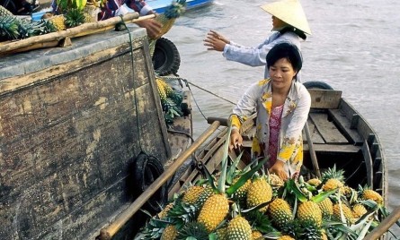 Tour Miền Tây Côn Đảo: Bạc Liêu – Cà Mau – Sóc Trăng – Cần Thơ 5N4D (Tàu)