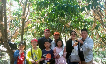 Tour vườn trái cây Cần Thơ – Chợ Nổi Cái Răng – Thiền Viện Trúc Lâm – KDL Mỹ Khánh – Chùa Khmer – Vườn cò