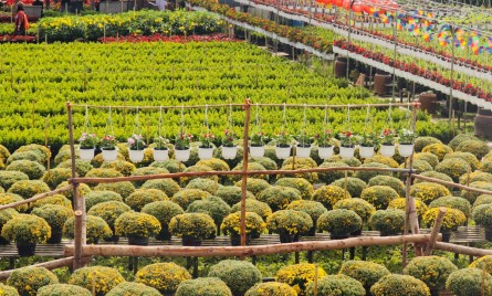 Tour du lịch Miền Tây 3 ngày 2 đêm: Cần Thơ – Đồng Tháp – KDL Văn Hóa Phương Nam – Sa Đéc