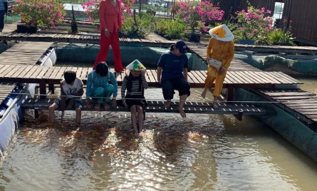 Tour Cồn Sơn – Trải Nghiệm Đám Tiệc Bên Cồn