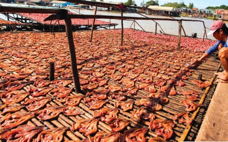 Độc đáo Làng nổi cá bè Châu Đốc An Giang