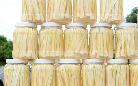 Bồn Bồn đặc sản Miền Tây – Món ăn ngon tốt cho sức khỏe