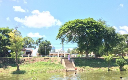 Búng Bình Thiên – Điểm du lịch ấn tượng của An Giang