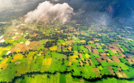 Chiêm ngưỡng Cánh đồng Tà Pạ tuyệt đẹp ở An Giang