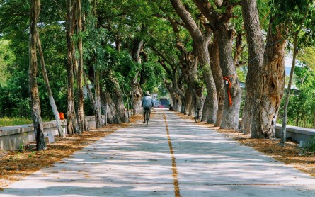 Vẻ đẹp của Chùa Krăng Krốch (Chùa Hàng Còng) – An Giang