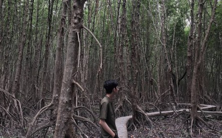 Các tiểu vùng đặc trưng của đồng bằng sông Cửu Long