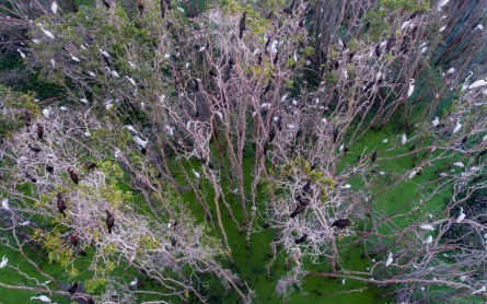 Hướng dẫn du lịch Làng Nổi Tân Lập tận tình chi tiết