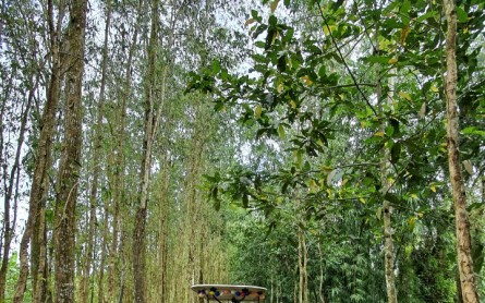 Khu du lịch Mùa Xuân – Hậu Giang