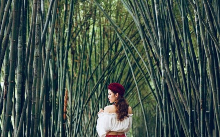 Vườn Tre Tư Sang – Con đường tre tuyệt đẹp ở Hậu Giang