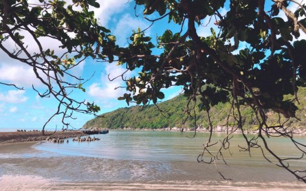 Vẻ đẹp hoang sơ của Đảo Hòn Khoai – Cà Mau