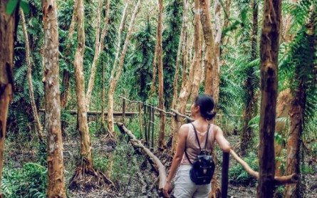 Hướng dẫn du lịch Vườn Quốc Gia U Minh Hạ Cà Mau