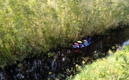 Hướng dẫn du lịch Vườn quốc gia U Minh Thượng