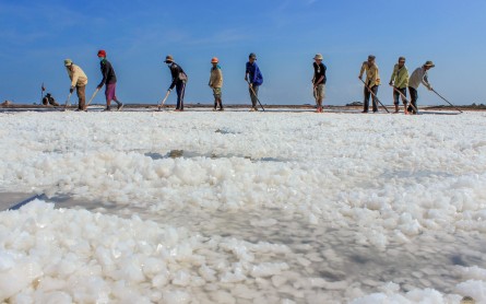 Vẻ đẹp cánh đồng muối Bạc Liêu