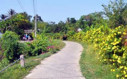 Làng cổ Đông Hòa Hiệp – Cái Bè – Tiền Giang