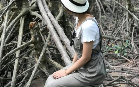 Khu bảo tồn đa dạng sinh học lâm ngư trường 184 – Rừng đước Năm Căn Cà Mau