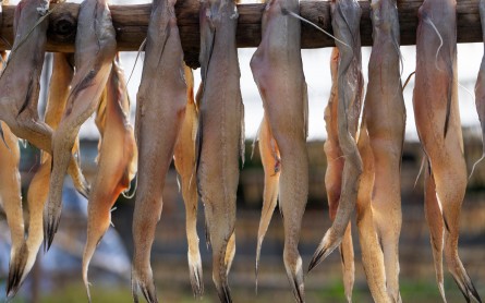 Các món ăn ngon đặc sản Cà Mau nhất định phải thử