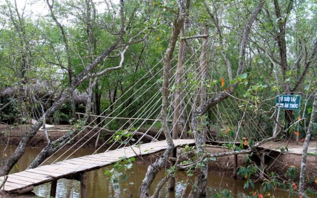Vườn chim Bạc Liêu