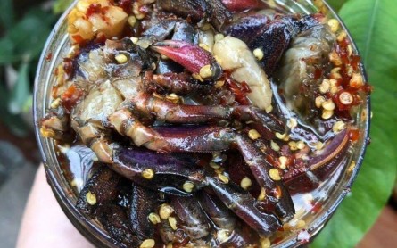 Cá món ăn ngon đặc sản Bạc Liêu nhất định phải thử