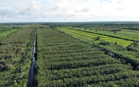 Khu du lịch sinh thái Hương Tràm – U Minh – Cà Mau