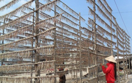 Thăm làng nghề cá khoai khô Cái Đôi Vàm – Cà Mau