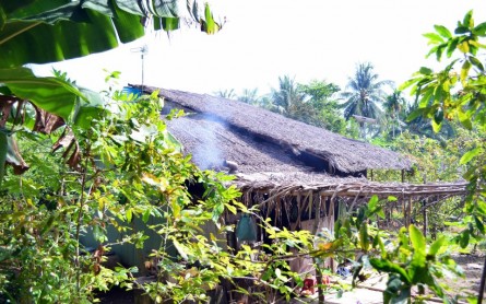 Cồn Hô: Điểm du lịch tự thân độc đáo, sống đúng chất nông nghiệp